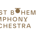 Z&aacute;padočesk&yacute; symfonick&yacute; orchestr / West Bohemian Symphony Orchestra